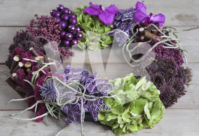 bloemen en planten vvbvanbree     1125